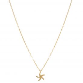 Starfish - Rebirth Necklace